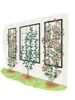 Exeter Wall Trellis -Deals Garden Decor Store 8600049 50 0001 art tif