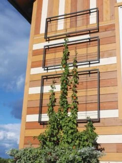 Exeter Wall Trellis -Deals Garden Decor Store 8600049 7121 tif