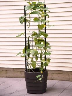 Gardener’s Victory Self-Watering Planter With Vine Trellis -Deals Garden Decor Store 8600177 9876 tif