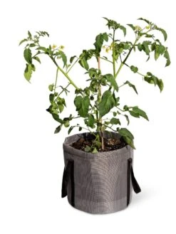 Reinforced Colorful Grow Bags -Deals Garden Decor Store 8600229 0944 tif