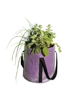 Reinforced Colorful Grow Bags -Deals Garden Decor Store 8600230 0948 tif