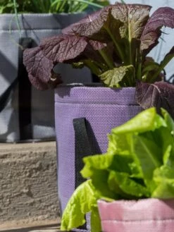 Reinforced Colorful Grow Bags -Deals Garden Decor Store 8600230 20013 tif