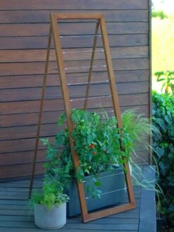 Mira Modern Garden Trellis Sr. -Deals Garden Decor Store 8600513 06v mira modern garden trellis sr oxide