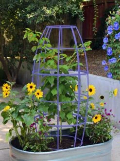 Toki Bubble Trellis -Deals Garden Decor Store 8600520 02V tif