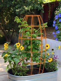 Toki Bubble Trellis -Deals Garden Decor Store 8600520 03V tif
