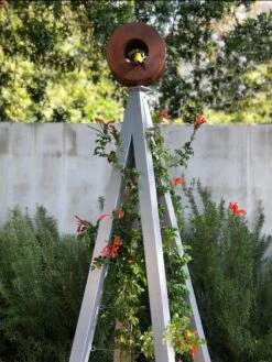 Bird Cafe + Akoris Garden Tuteur Sr. 14 Bird Cafe + Akoris Garden Tuteur Sr. -Deals Garden Decor Store 8600525 07v 1