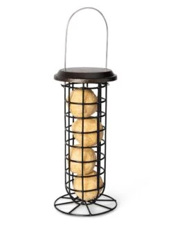 Suet Ball & Feeder Combo Set -Deals Garden Decor Store 8608919 4427