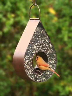 Teardrop Fly-Thru™ Bird Feeder 7 Teardrop Fly-Thru™ Bird Feeder -Deals Garden Decor Store 8609054 02v
