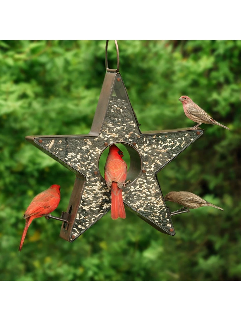 Star Fly-Thru™ Bird Feeder 1 Star Fly-Thru™ Bird Feeder