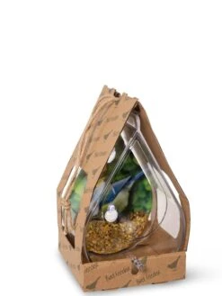 Dewdrop Window Bird Feeder -Deals Garden Decor Store 8609061 4444 tif