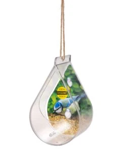 Dewdrop Window Bird Feeder -Deals Garden Decor Store 8609061 4447 tif