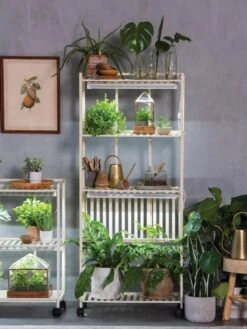 Oslo 4-Tier LED Grow Light Garden 17 Oslo 4-Tier LED Grow Light Garden -Deals Garden Decor Store 8609188 4118 tif