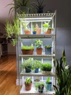 Oslo 4-Tier LED Grow Light Garden 21 Oslo 4-Tier LED Grow Light Garden -Deals Garden Decor Store 8609220 03IN tif