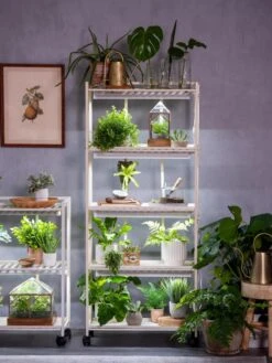 Oslo 4-Tier LED Grow Light Garden 19 Oslo 4-Tier LED Grow Light Garden -Deals Garden Decor Store 8609220 4116 tif