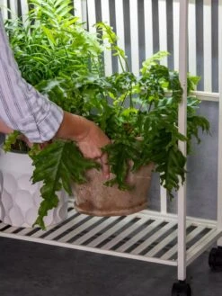 Oslo 2-Tier LED Grow Light Garden, 2 Fixtures -Deals Garden Decor Store 8609220 4122 tif