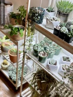 Oslo 2-Tier LED Grow Light Garden, 2 Fixtures -Deals Garden Decor Store 8609221 02IN tif