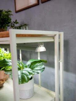 Oslo 2-Tier LED Grow Light Garden, 2 Fixtures -Deals Garden Decor Store 8609221 4101 tif