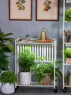 Oslo 2-Tier LED Grow Light Garden, 2 Fixtures -Deals Garden Decor Store 8609221 7236 tif