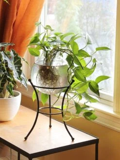 Achla Designs Multi Use Stand 9 Achla Designs Multi Use Stand -Deals Garden Decor Store 8609343 01v achla designs multi use stand