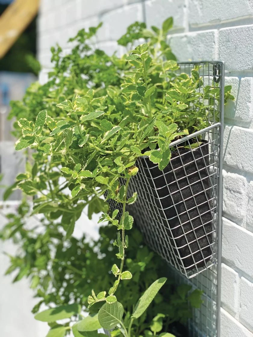 Wire Wall Pockets Vertical Gardens 3 Wire Wall Pockets Vertical Gardens - Image 3