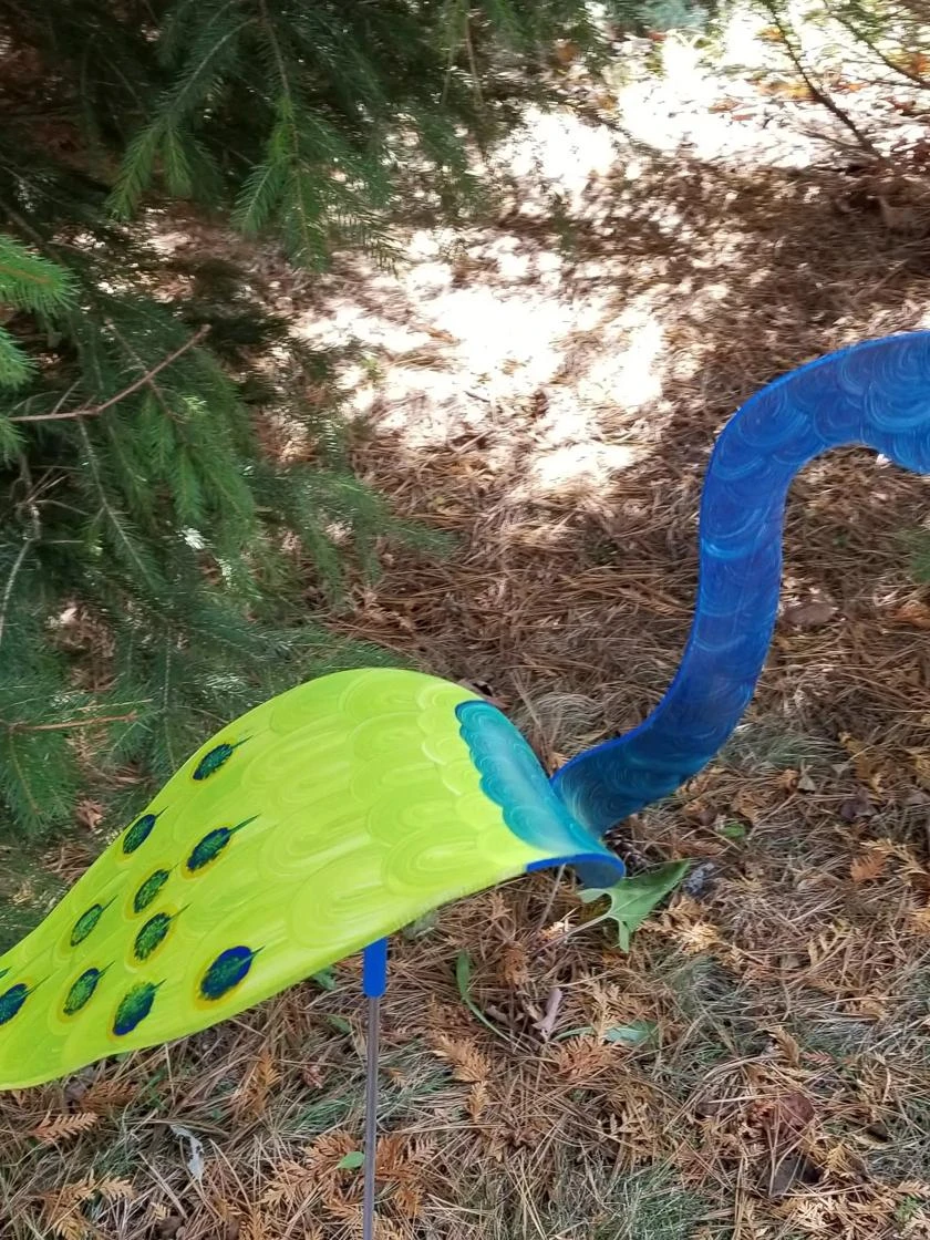 Florida Dancing Birds®, Peacock 1 Florida Dancing Birds®, Peacock