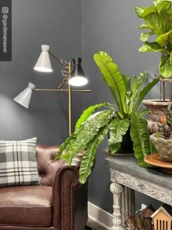 Adjustable 3-Arm Grow Lamp -Deals Garden Decor Store 8609868 01IN tif