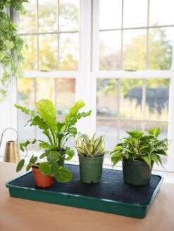 Self-Watering Tray -Deals Garden Decor Store 8609872 9021 tif