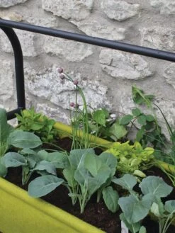 Vigoroot™ Self-Watering Easy Garden Planter -Deals Garden Decor Store 8609879 04V tif