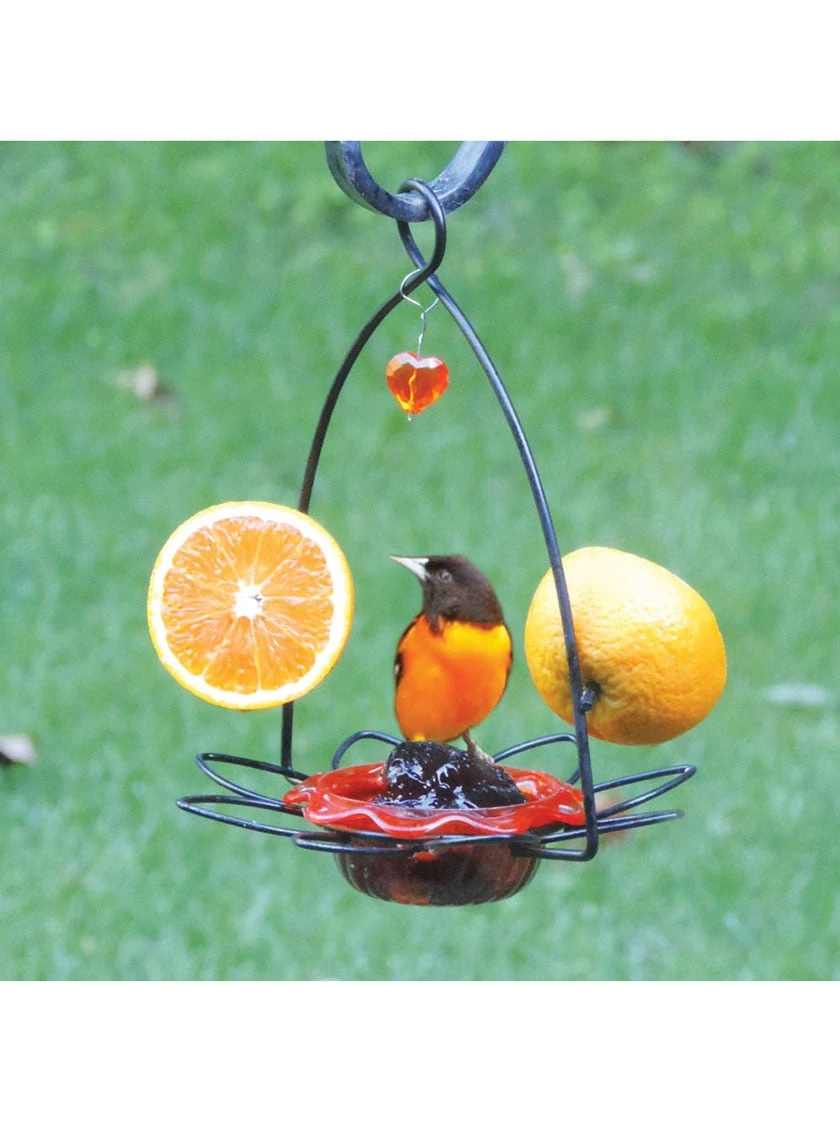 Birds Choice ™ Oriole Flower Feeder 2 Birds Choice ™ Oriole Flower Feeder - Image 2