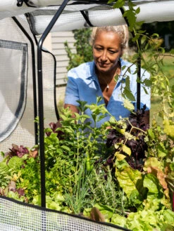 VegTrug®Patio Garden Greenhouse Cover Kit -Deals Garden Decor Store 8610172 1256