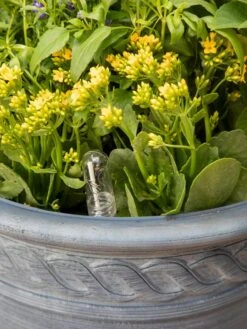 Adjustable Self-Watering Insert For Pots And Planters -Deals Garden Decor Store 8610250 0010 tif