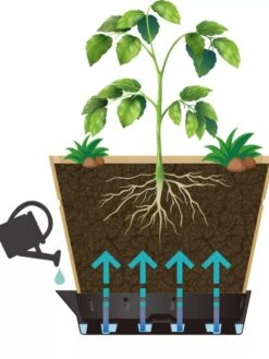 VegTrug® Build-a-Barrel Wooden Planter With Self-Watering Reservoir Tray, 18" 9 VegTrug® Build-a-Barrel Wooden Planter With Self-Watering Reservoir Tray, 18" -Deals Garden Decor Store 8610253 05V tif