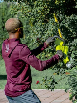 Sun Joe 24V-HT22-LTE 24-Volt ION+ Cordless Hedge Trimmer Kit | 22-Inch | W/ 2.0-Ah Battery And Charger 16 Sun Joe 24V-HT22-LTE 24-Volt ION+ Cordless Hedge Trimmer Kit | 22-Inch | W/ 2.0-Ah Battery And Charger -Deals Garden Decor Store 8610657 07v