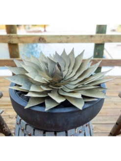 Desert Steel Spiral Aloe Sculpture -Deals Garden Decor Store 8610750 02v