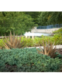 Desert Steel Sharkskin Agave Sculpture -Deals Garden Decor Store 8610753 05v