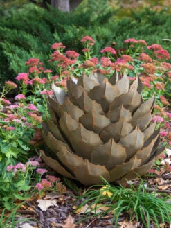 Desert Steel Artichoke Agave Sculpture -Deals Garden Decor Store 8610761 03v