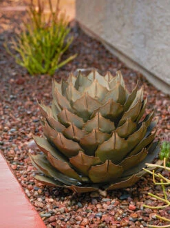 Desert Steel Artichoke Agave Sculpture -Deals Garden Decor Store 8610761 042v