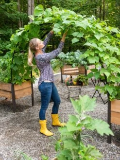 2’ X 8’ Arch Trellis For Planter Boxes -Deals Garden Decor Store 8610798 050 tif