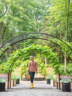 2’ X 8’ Arch Trellis For Planter Boxes -Deals Garden Decor Store 8610798 071 tif