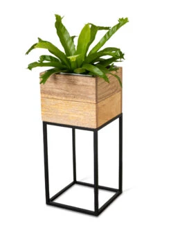Tartu Elevated Square Planters -Deals Garden Decor Store 8611005 036