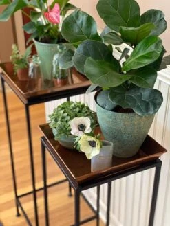 Square Nesting Plant Stands With Trays, Set Of 2 8 Square Nesting Plant Stands With Trays, Set Of 2 -Deals Garden Decor Store 8611014 3651 tif