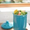 Ceramic Ribbed Compost Crock