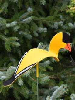 Florida Dancing Birds®, Songbirds 7 Florida Dancing Birds®, Songbirds -Deals Garden Decor Store 8611629 04v