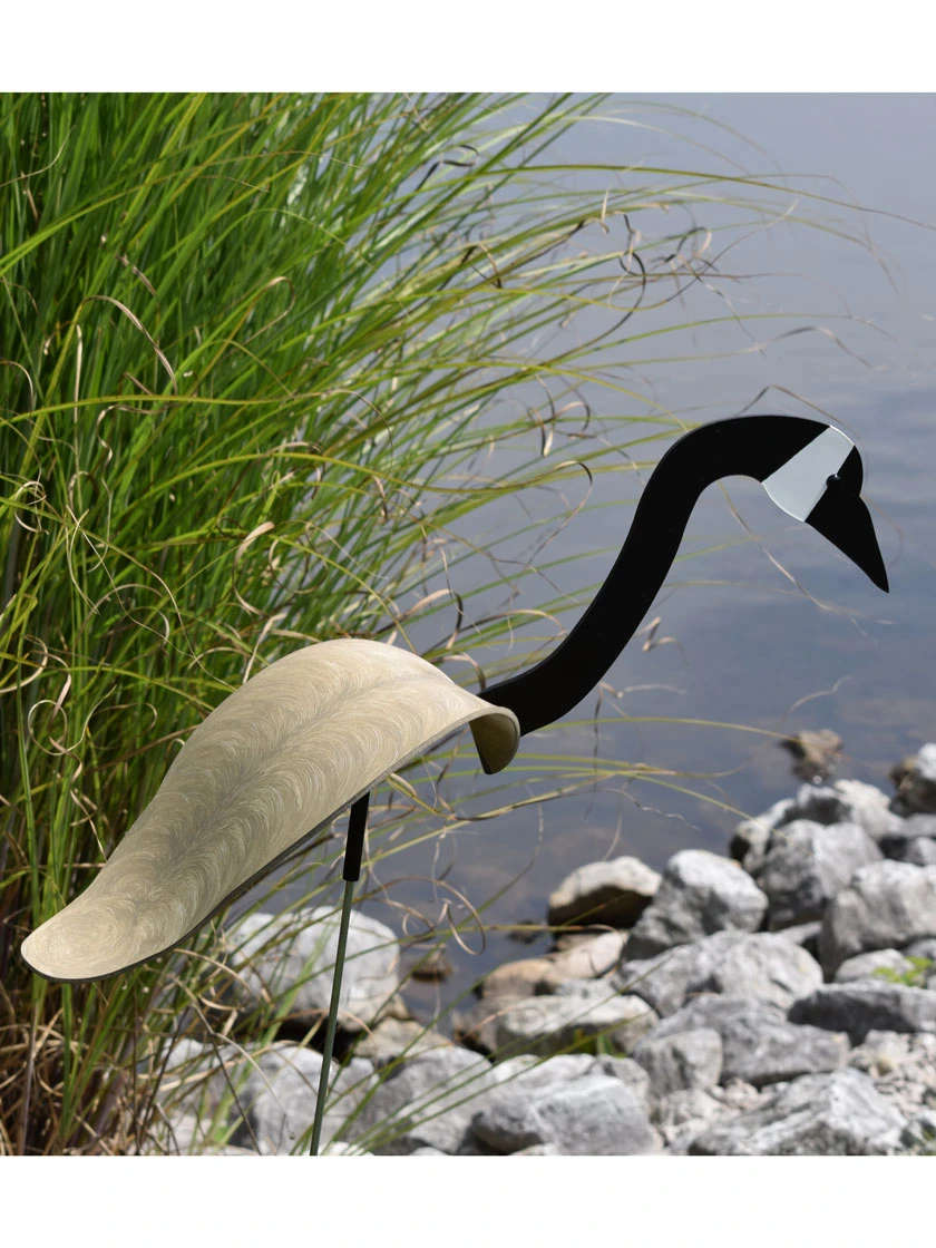 Florida Dancing Birds®, Canada Goose 2 Florida Dancing Birds®, Canada Goose - Image 2