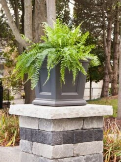 Fairfield Self-Watering Square Planter, 16” X 16” -Deals Garden Decor Store 8611695 06V tif
