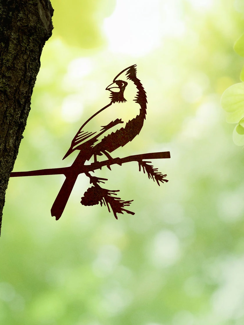 Metalbird Cardinal 1 Metalbird Cardinal