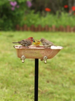 Copper Bathtub Birdbath 11 Copper Bathtub Birdbath -Deals Garden Decor Store 8612202 01v copper bathtub birdbath