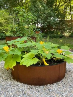 Birdies™ Corten Steel Round Raised Beds -Deals Garden Decor Store 8612422 0484 tif
