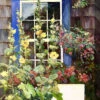 Summer House Outdoor Wall Art