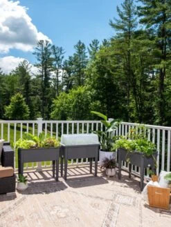 Self-Watering Standing Salad Planter With Cloche 11 Self-Watering Standing Salad Planter With Cloche -Deals Garden Decor Store 8612702 2002 tif